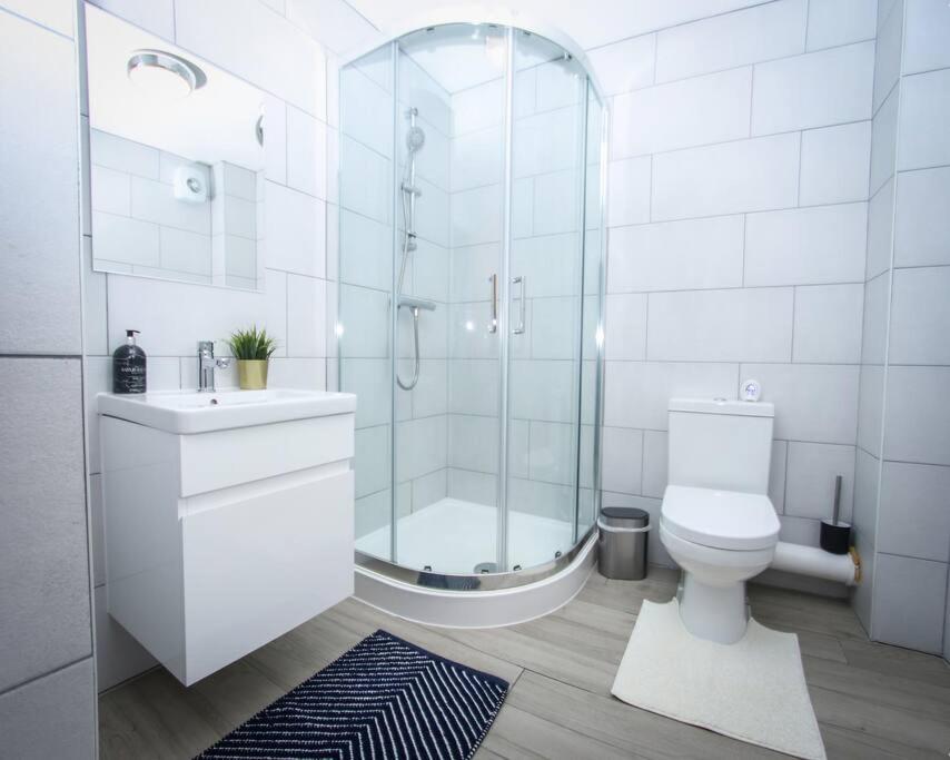 No12-Luxe Living Guest Apartment- 1 Bed-Garden-Private Parking-Wifi-Beach-Cityスウォンジー エクステリア 写真